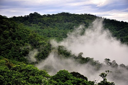 Экологический туризм в горах Бави - ảnh 4